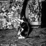 Valentine Schulist Profile Picture